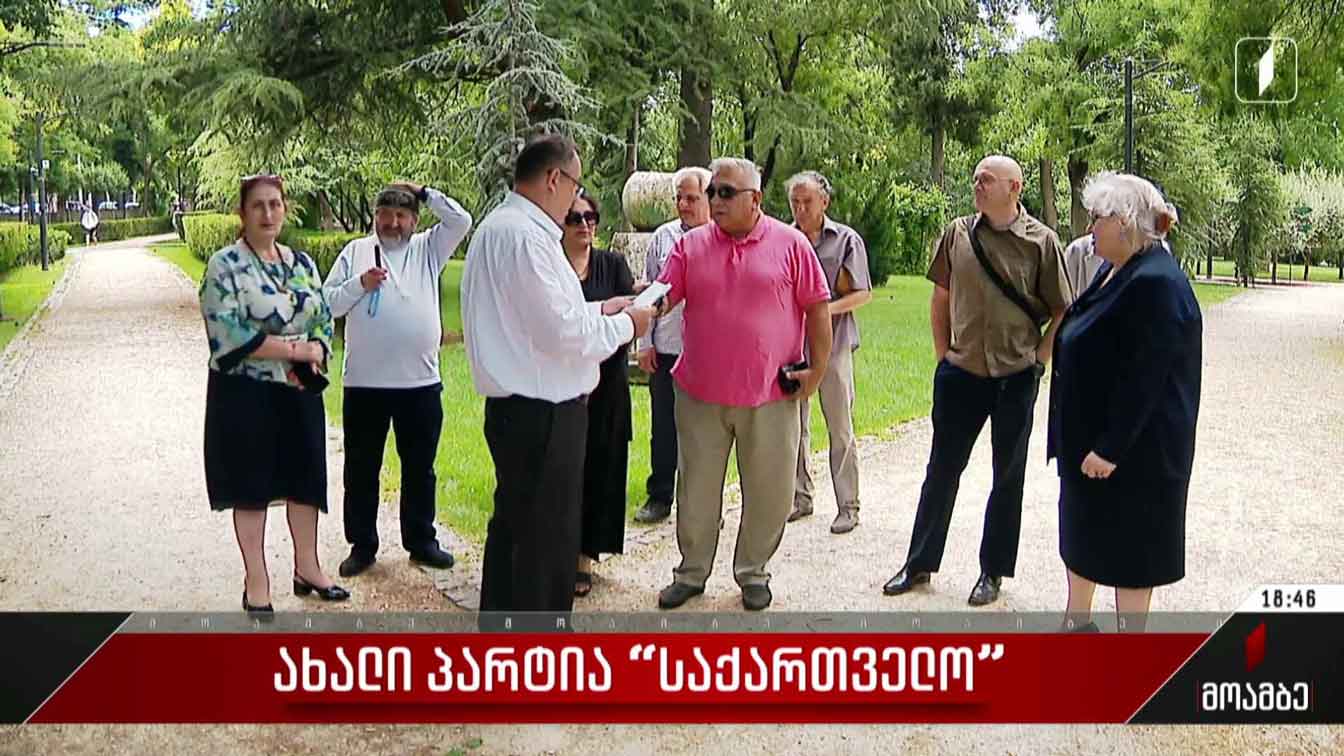 ახალი პარტია „საქართველო“