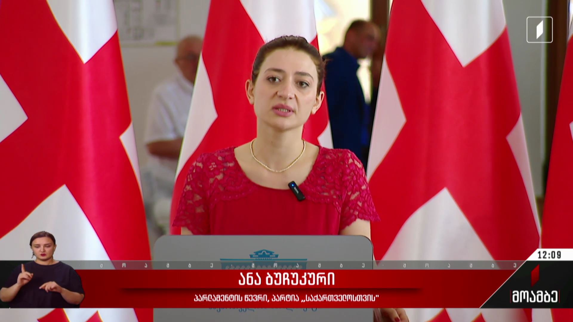 ევროპული საბჭოს სამიტის განცხადება - შეფასებები პოლიტიკურ სპექტრში