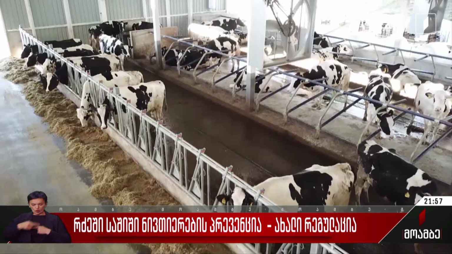 რძეში საშიში ნივთიერების პრევენცია - ახალი რეგულაცია 
