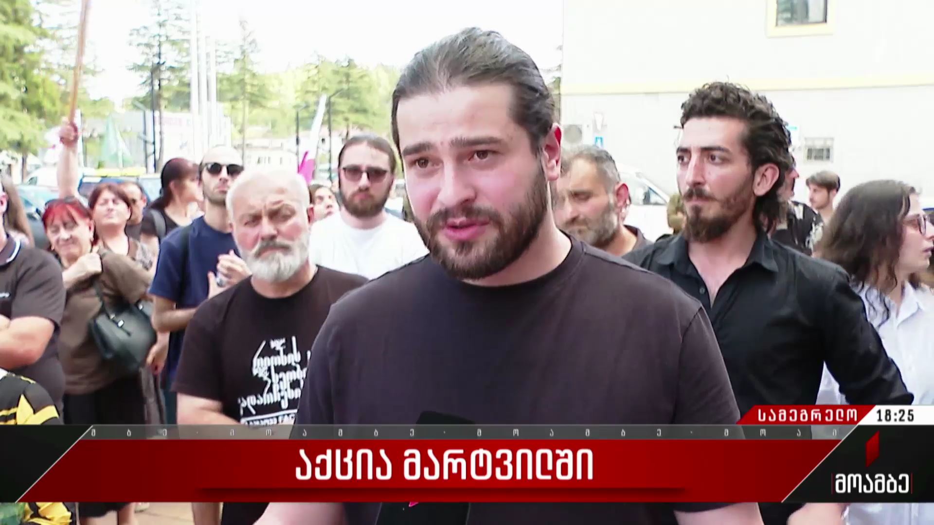 აქცია მარტვილში