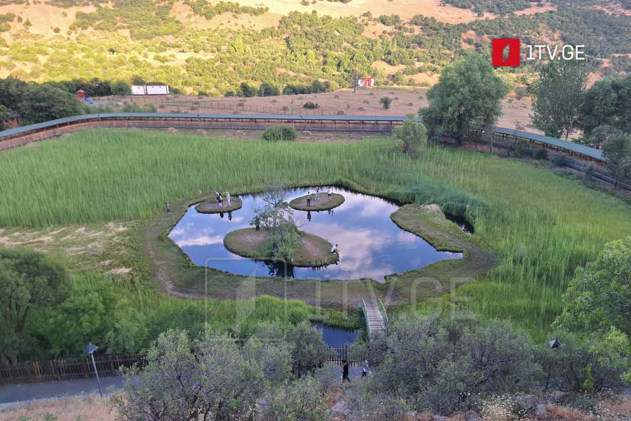 ბინგოლი, თუნჯელი, ელაზიგი - ეს ქალაქები ტურისტებს დაარწმუნებს, რომ თურქეთი მხოლოდ ზღვა, მზე და ქვიშა არ არის