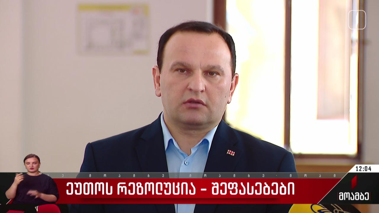 ეუთო-ს რეზოლუცია - შეფასებები