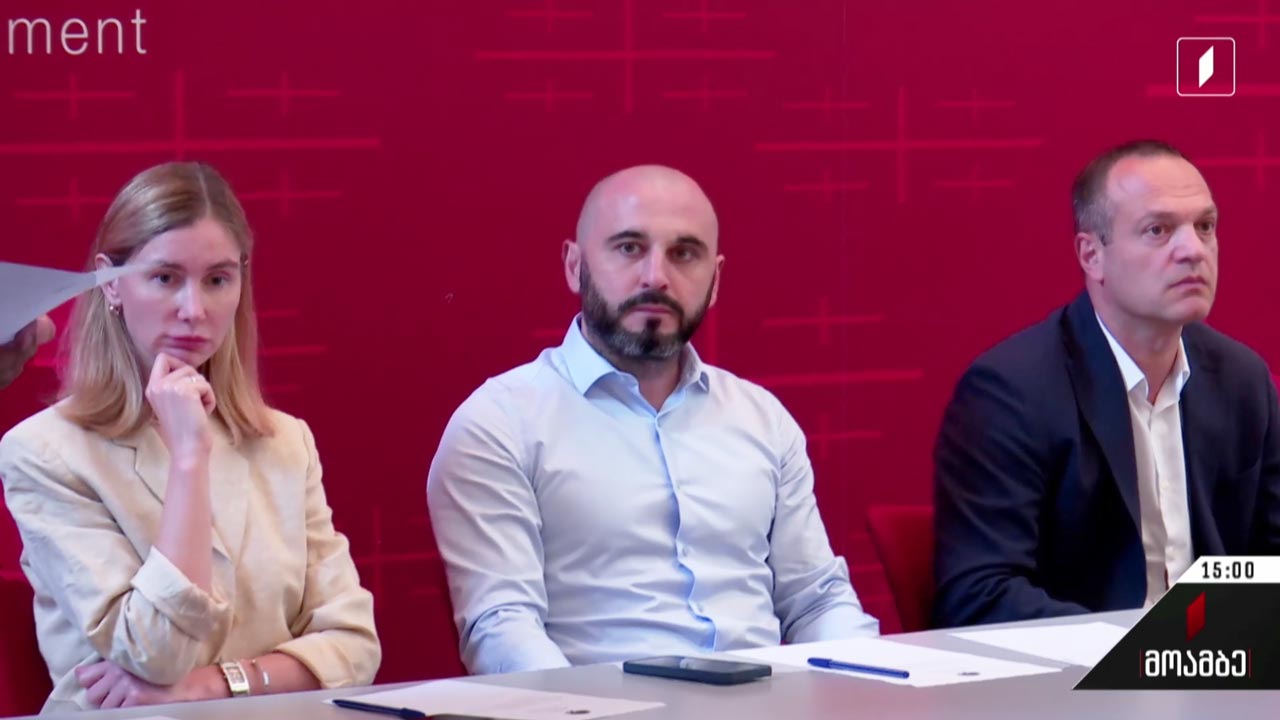 ოპოზიციური პარტიების გეგმები