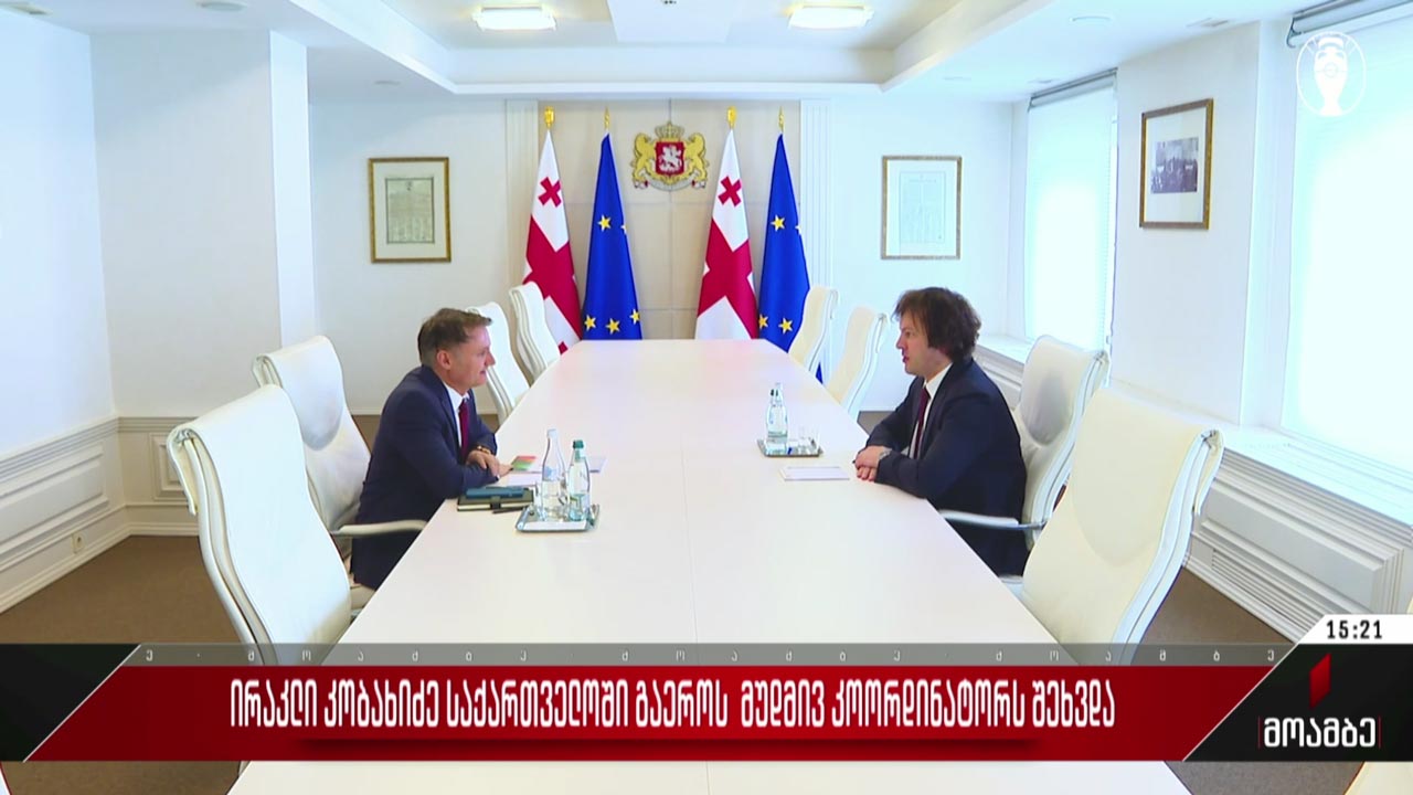 პრემიერი საქართველოში გაერო-ს მუდმივ კოორდინატორს შეხვდა