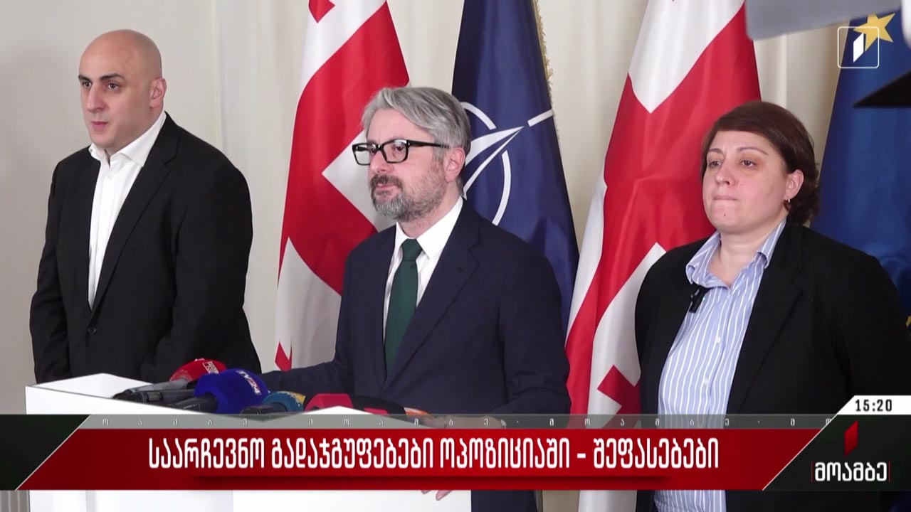 საარჩევნო გადაჯგუფებები ოპოზიციაში - შეფასებები