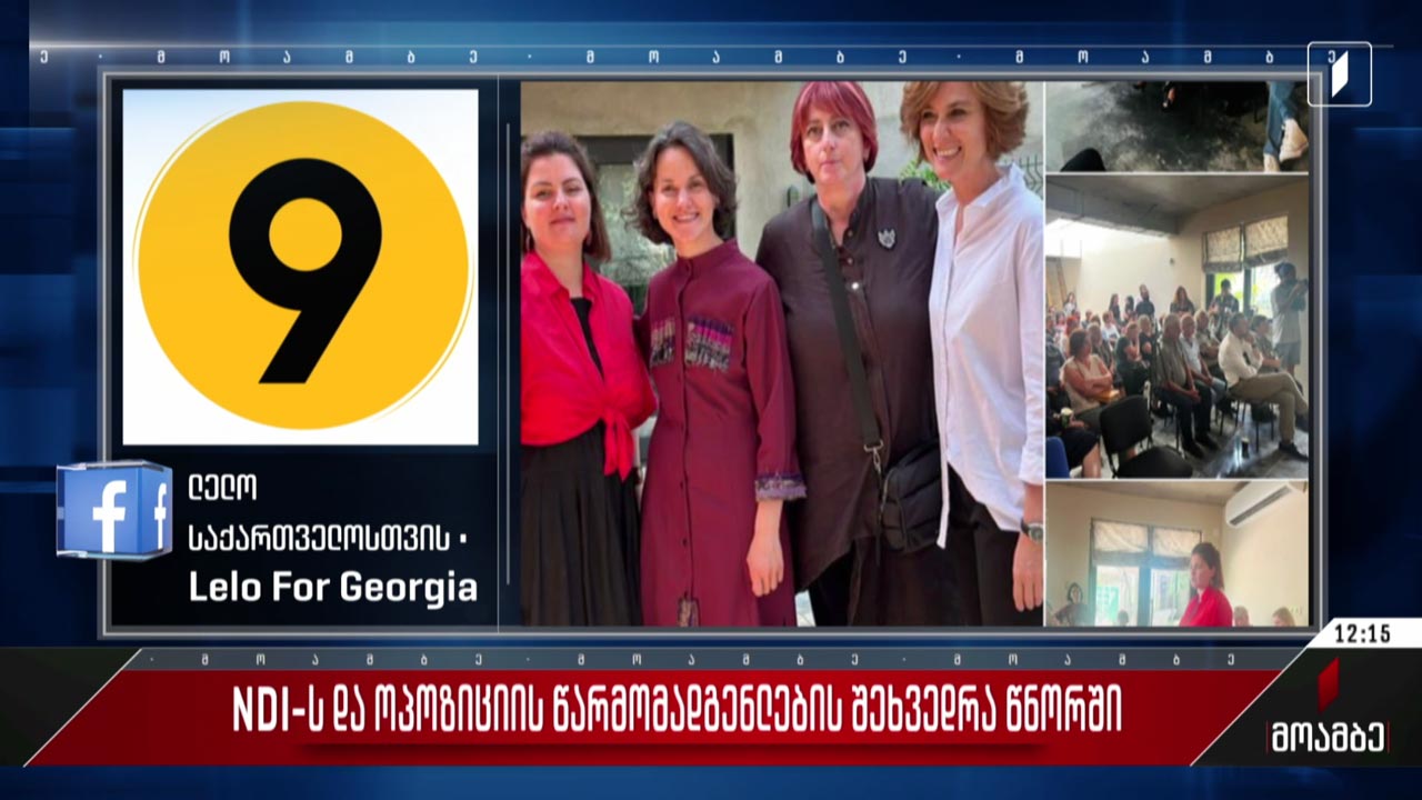 NDI-ს და ოპოზიციის წარმომადგენლების შეხვედრა წნორში
