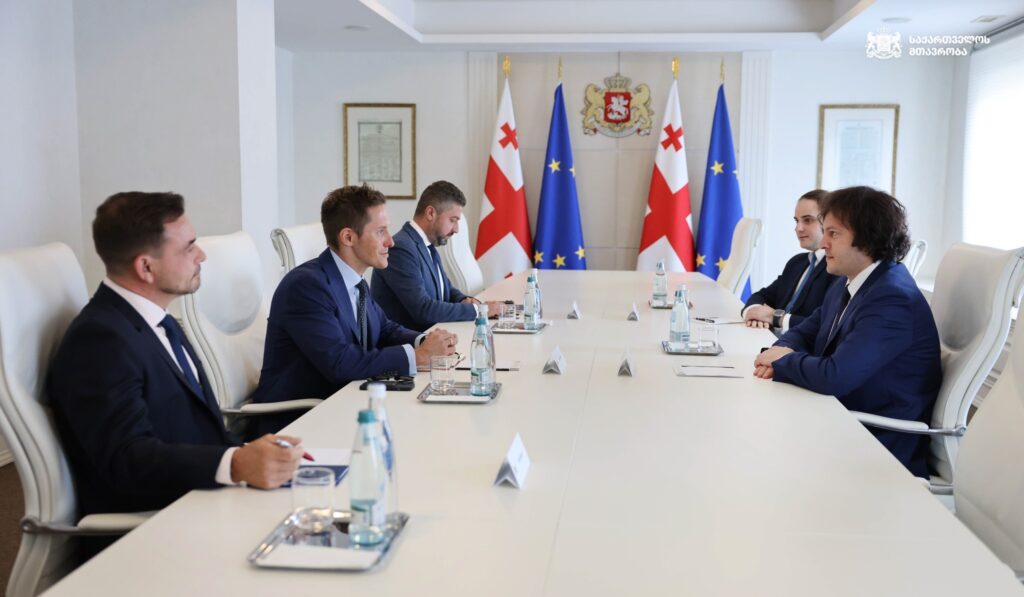 ირაკლი კობახიძე საერთაშორისო რესპუბლიკური ინსტიტუტის საქართველოს პროგრამის დირექტორს შეხვდა