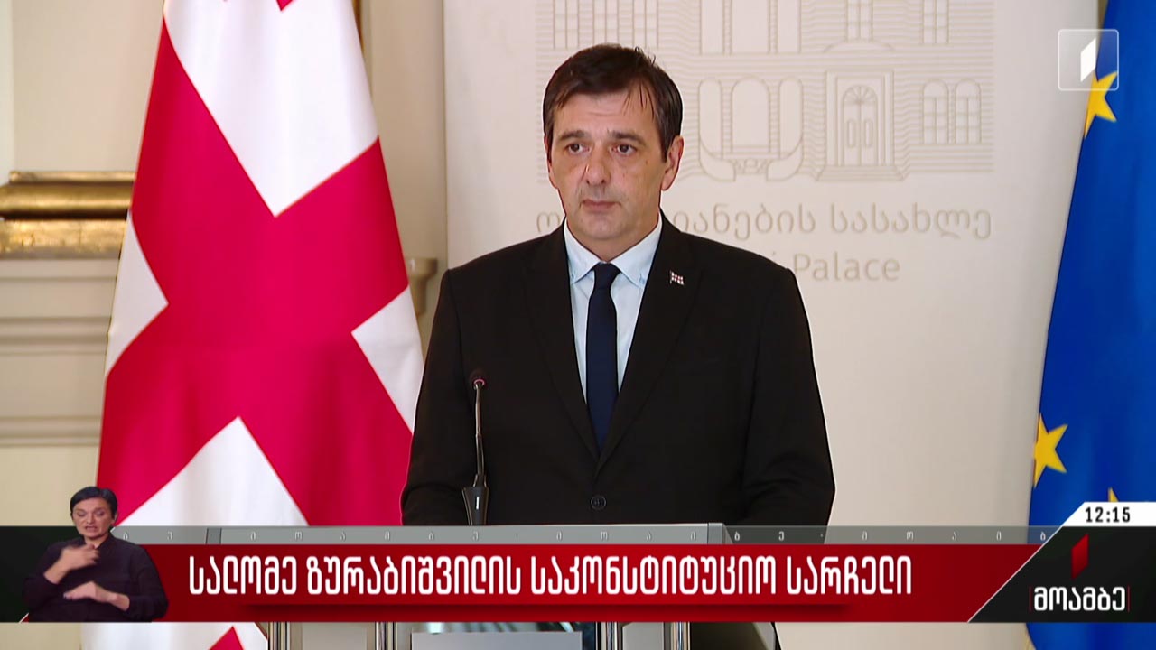სალომე ზურაბიშვილის საკონსტიტუციო სარჩელი