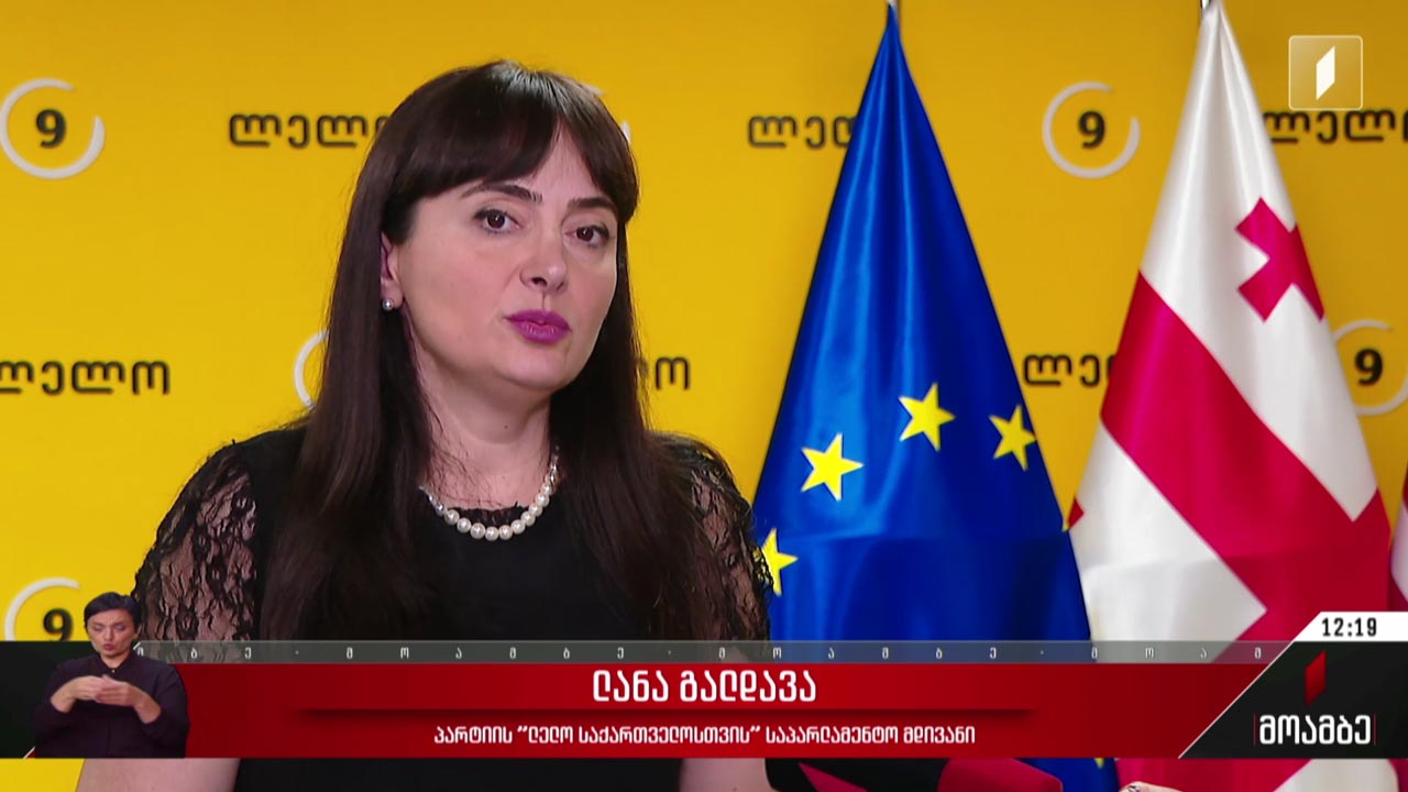 საარჩევნო დაჯგუფებები ოპოზიციაში