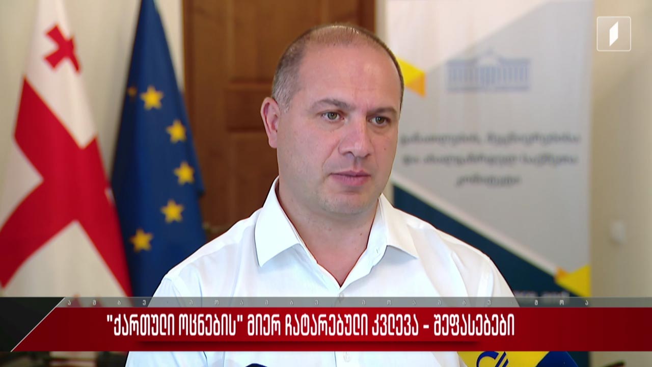 „ქართული ოცნების“ მიერ ჩატარებული კვლევა - შეფასებები