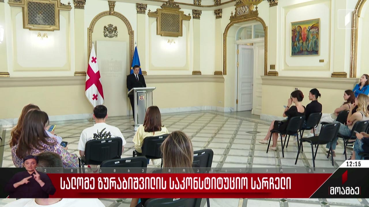 სალომე ზურაბიშვილის საკონსტიტუციო სარჩელი - გამოხმაურება
