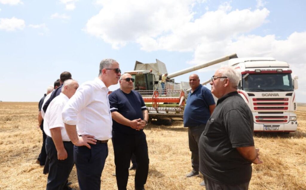 კახეთის რეგიონში ხორბლის მოსავლის აღების პროცესი აქტიურ ფაზაშია