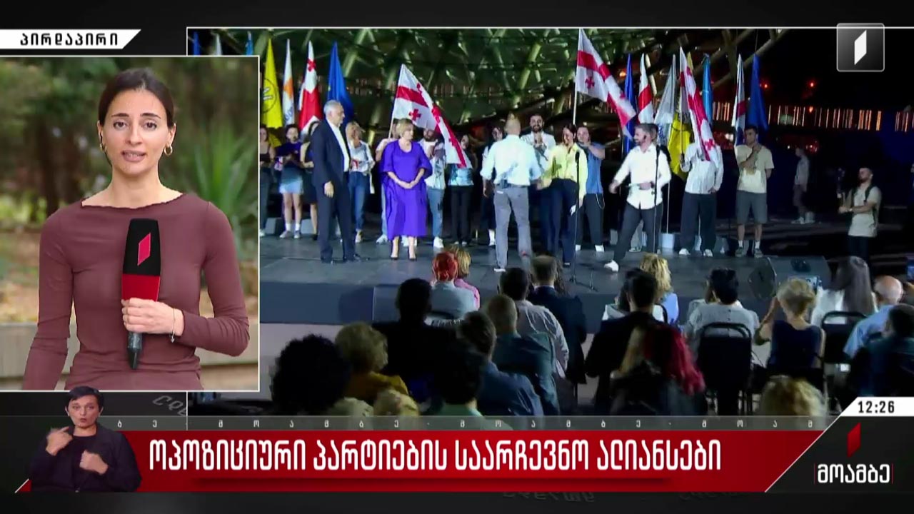ოპოზიციური პარტიების საარჩევნო ალიანსები