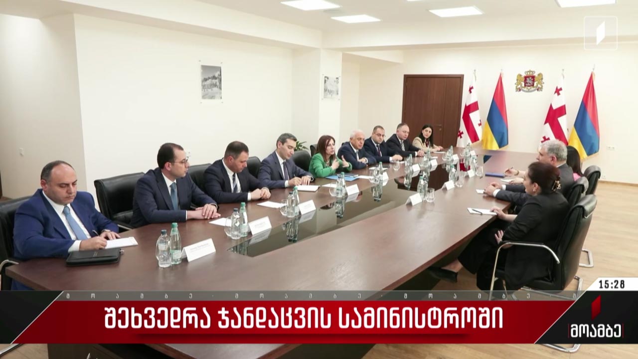 შეხვედრა ჯანდაცვის სამინისტროში