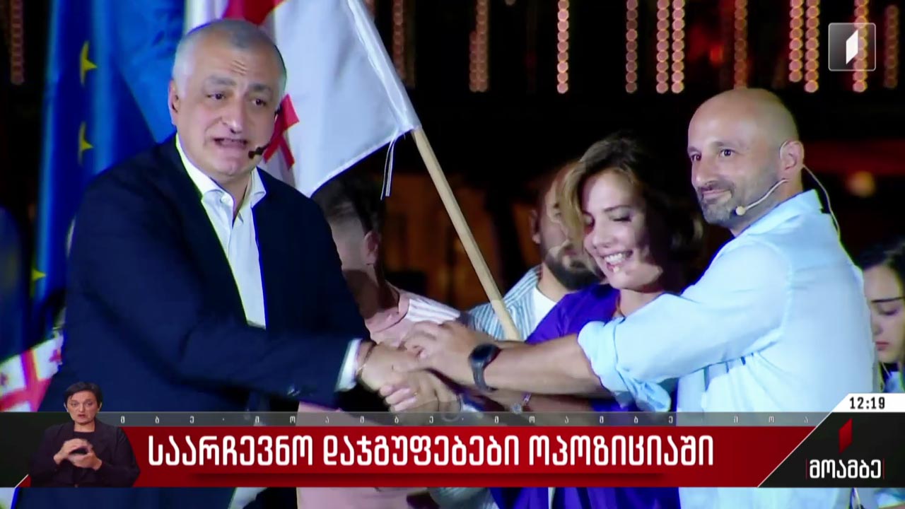 საარჩევნო დაჯგუფებები ოპოზიციაში