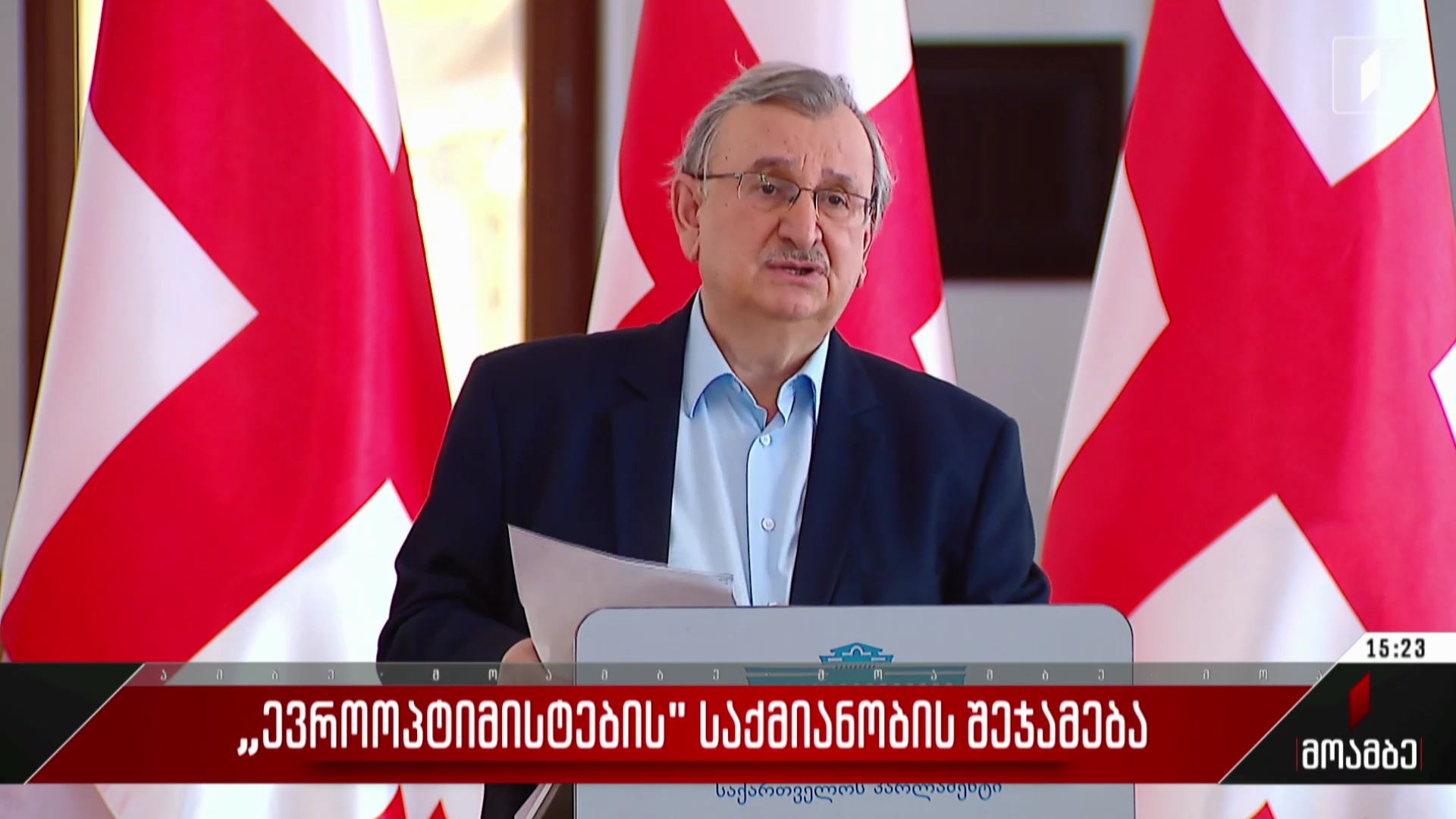 ევროოპტიმისტების საქმიანობის შეჯამება