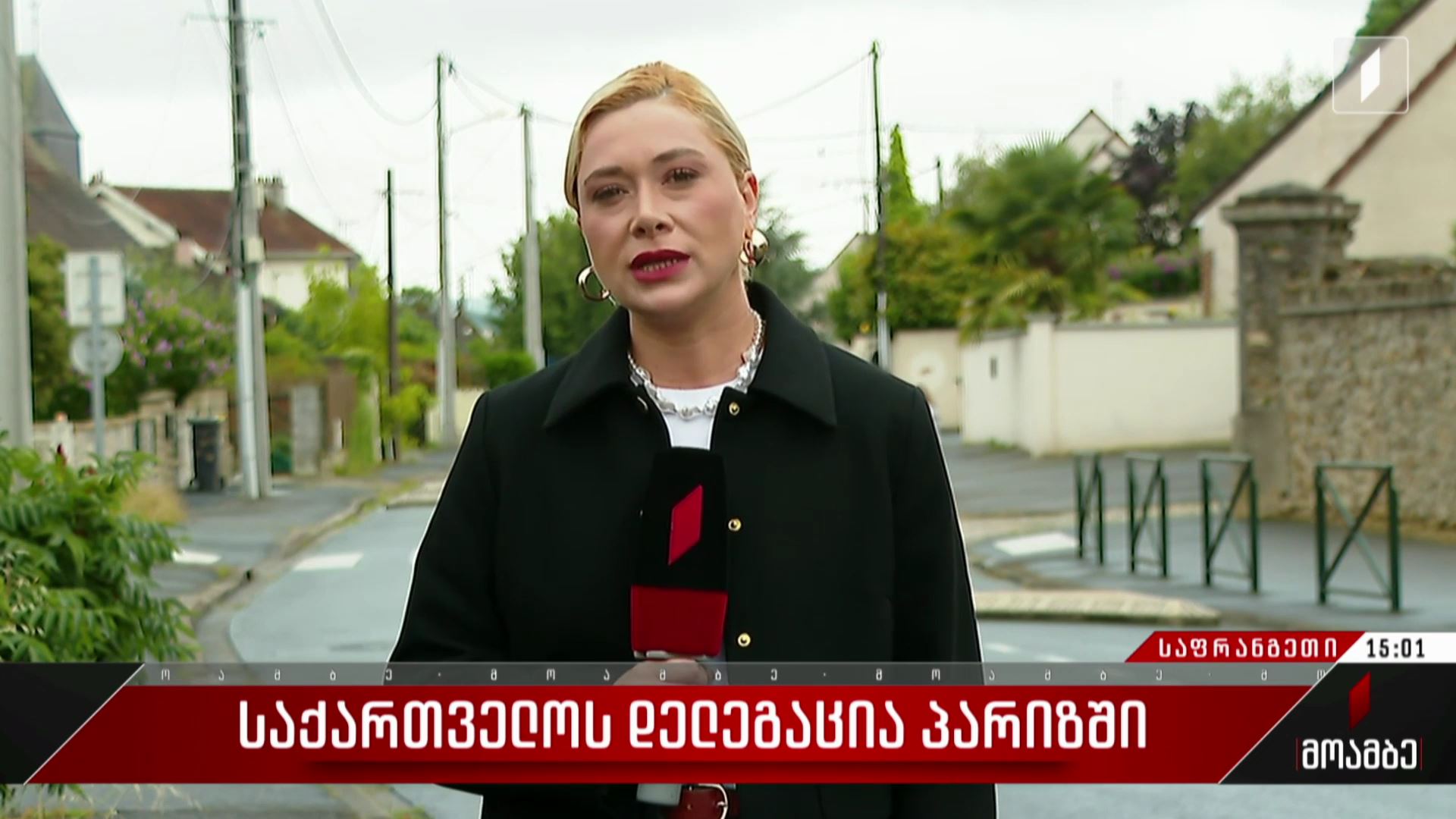 საქართველოს დელეგაცია პარიზში