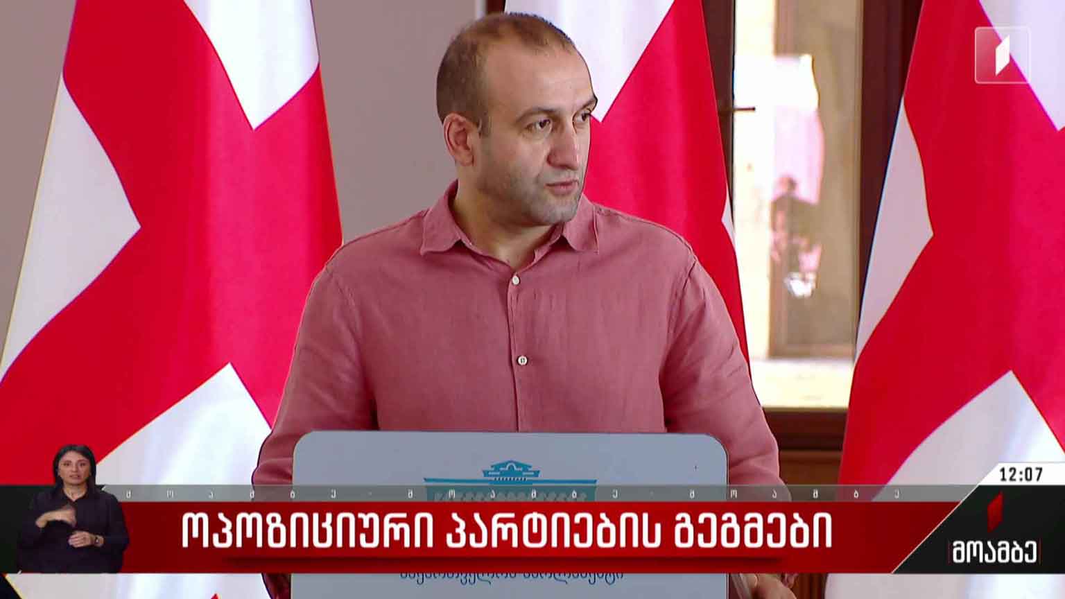 ოპოზიციური პარტიების გეგმები
