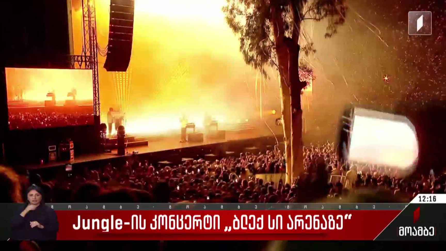 Jungle-ის კონცერტი „ბლექ სი არენაზე“