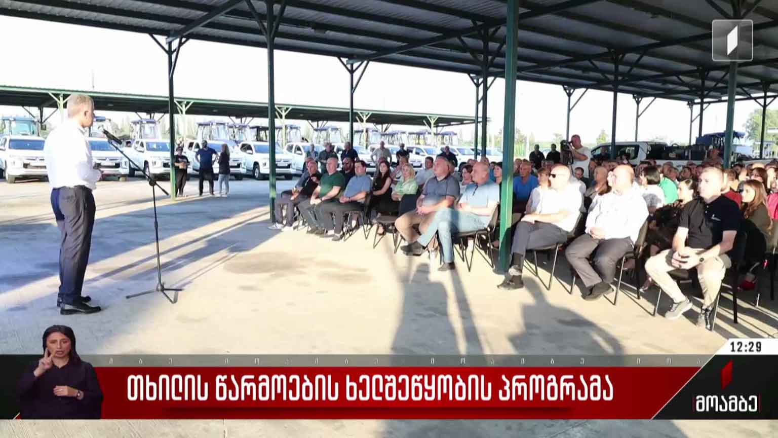 თხილის წარმოების ხელშეწყობის პროგრამა