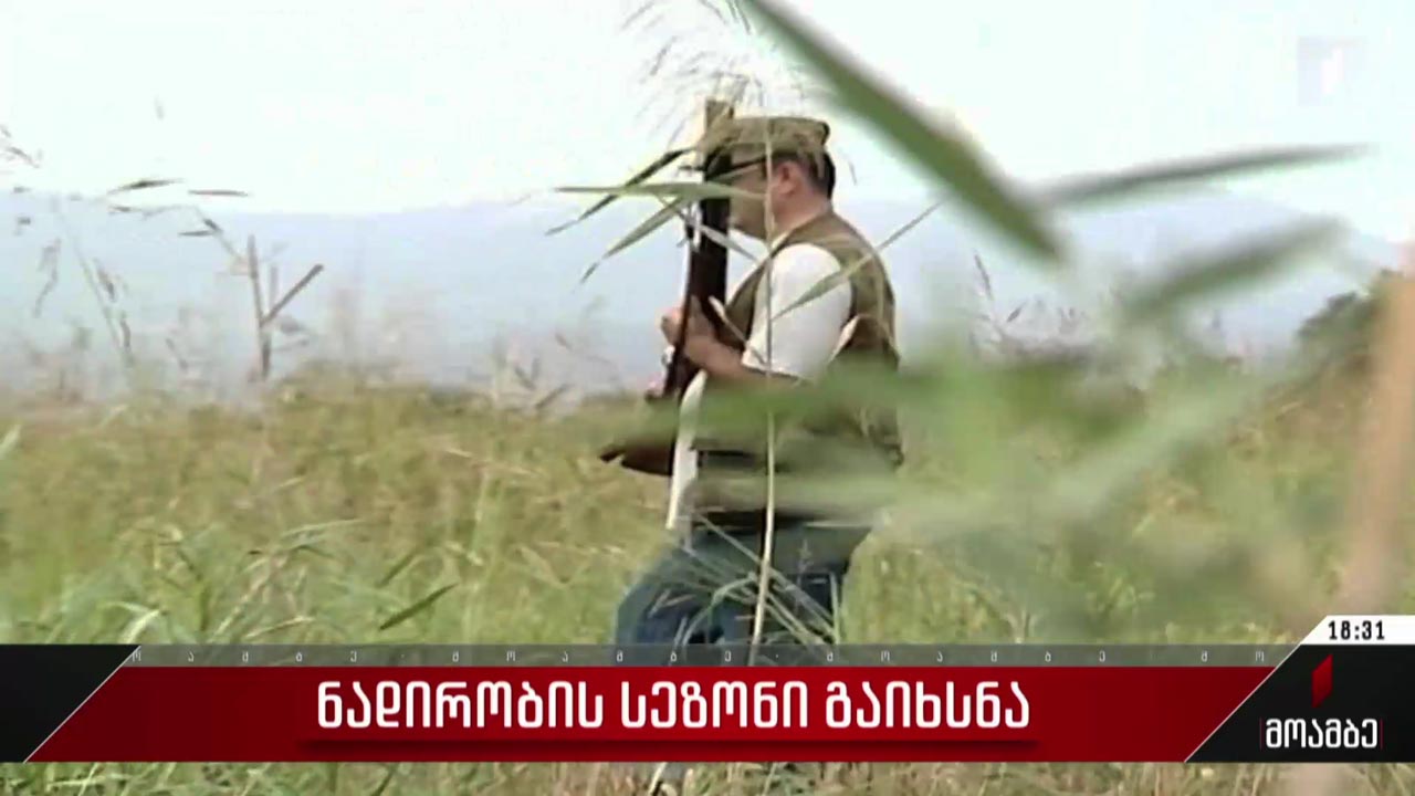 ნადირობის სეზონი გაიხსნა