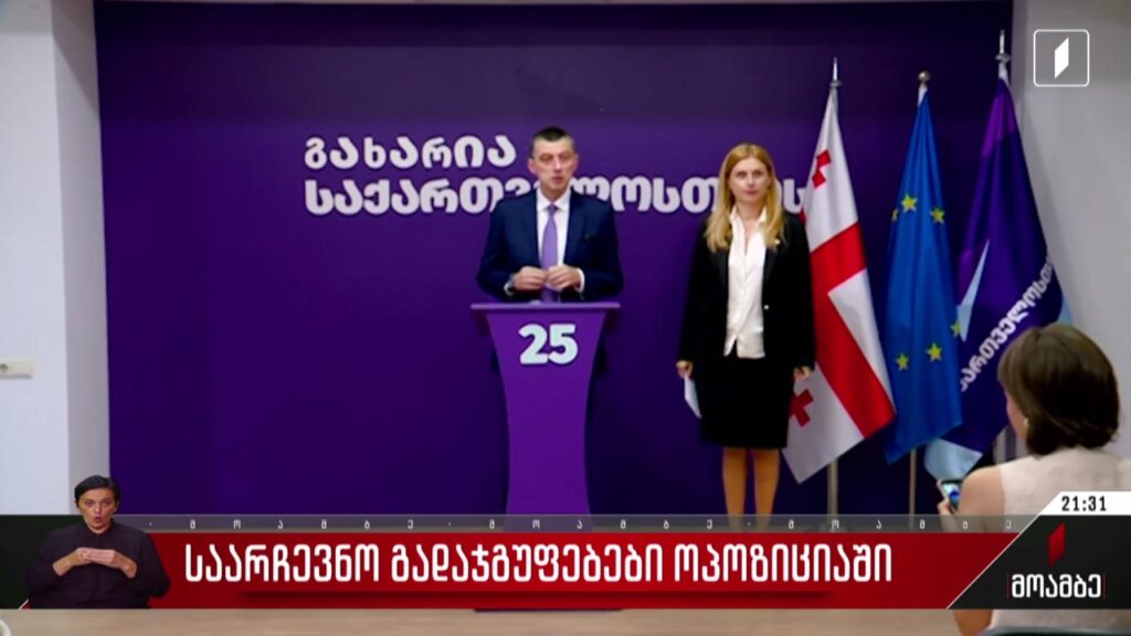 საარჩევნო გადაჯგუფებები ოპოზიციაში