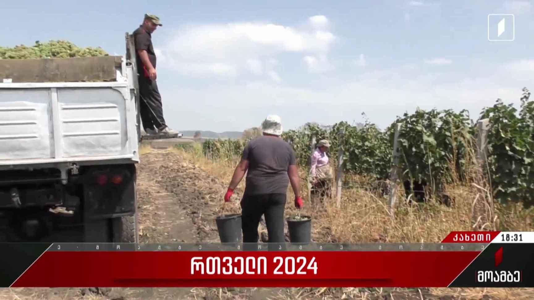 რთველი 2024