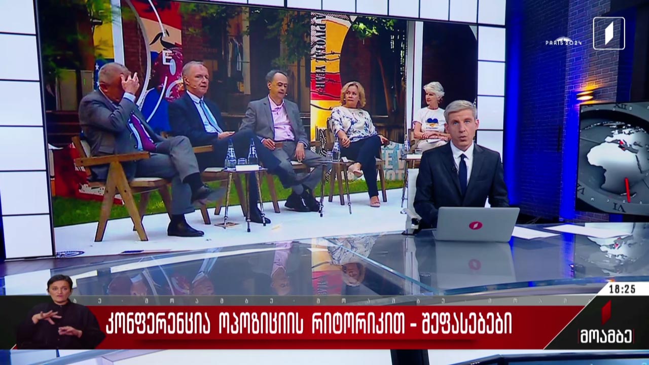 კონფერენცია ოპოზიციის რიტორიკით - შეფასებები