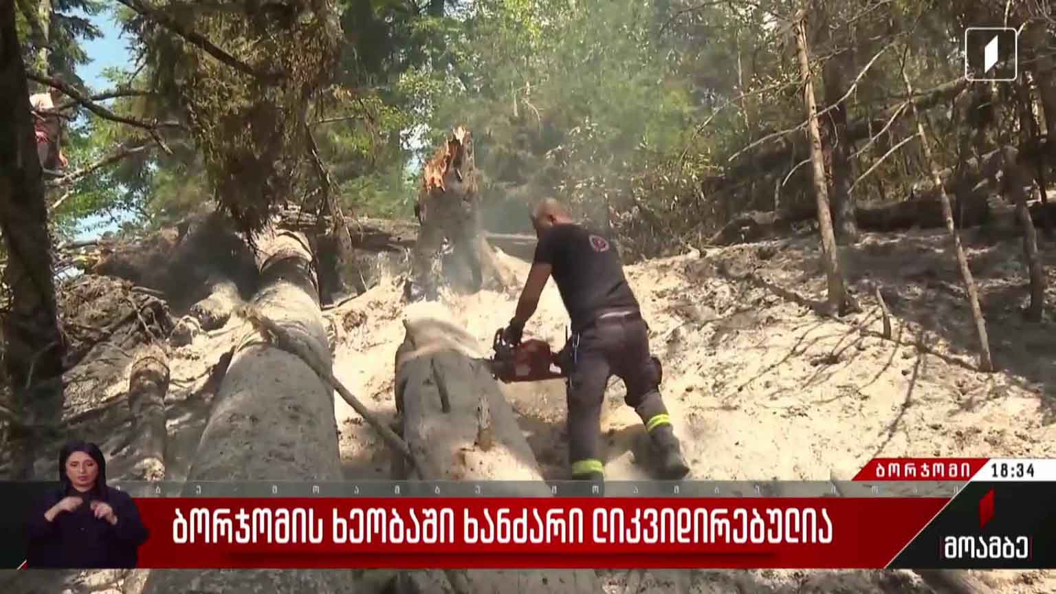 ბორჯომის ხეობაში ხანძარი ლიკვიდირებულია