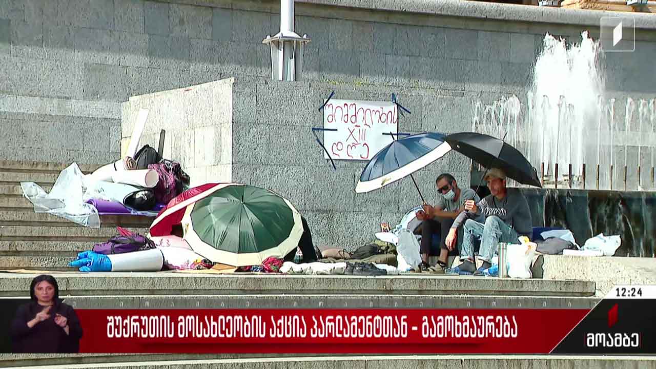 შუქრუთის მოსახლეობის აქცია პარლამენტთან - გამოხმაურება