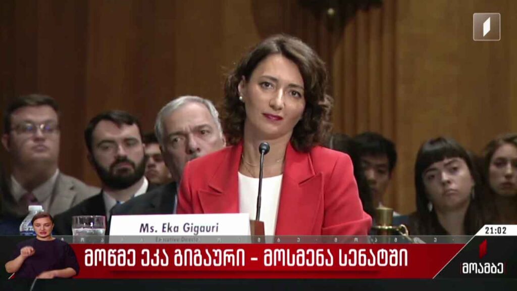 მოწმე ეკა გიგაური – მოსმენა სენატში