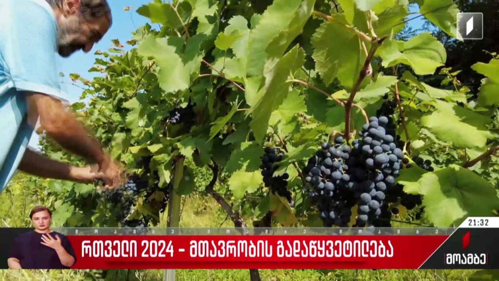 რთველი 2024 – მთავრობის გადაწყვეტილება