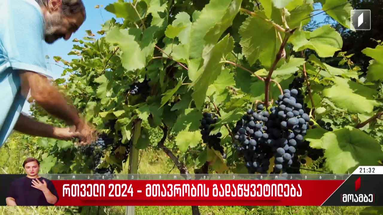 რთველი 2024 - მთავრობის გადაწყვეტილება