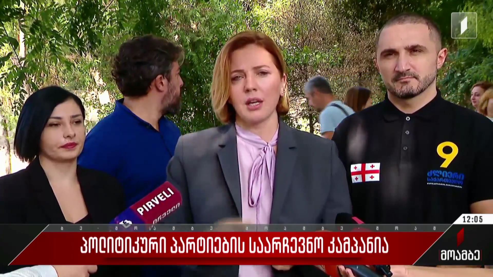 პოლიტიკური პარტიების საარჩევნო კამპანია