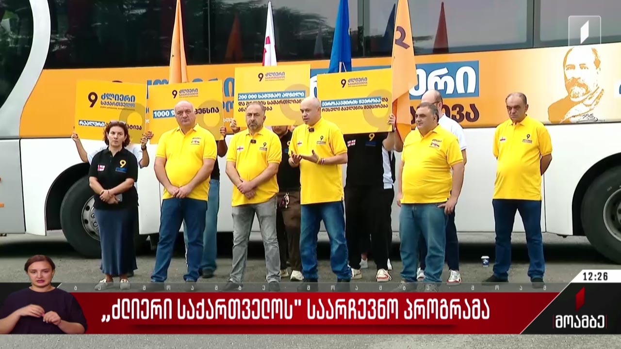 „ძლიერი საქართველოს" საარჩევნო პროგრამა