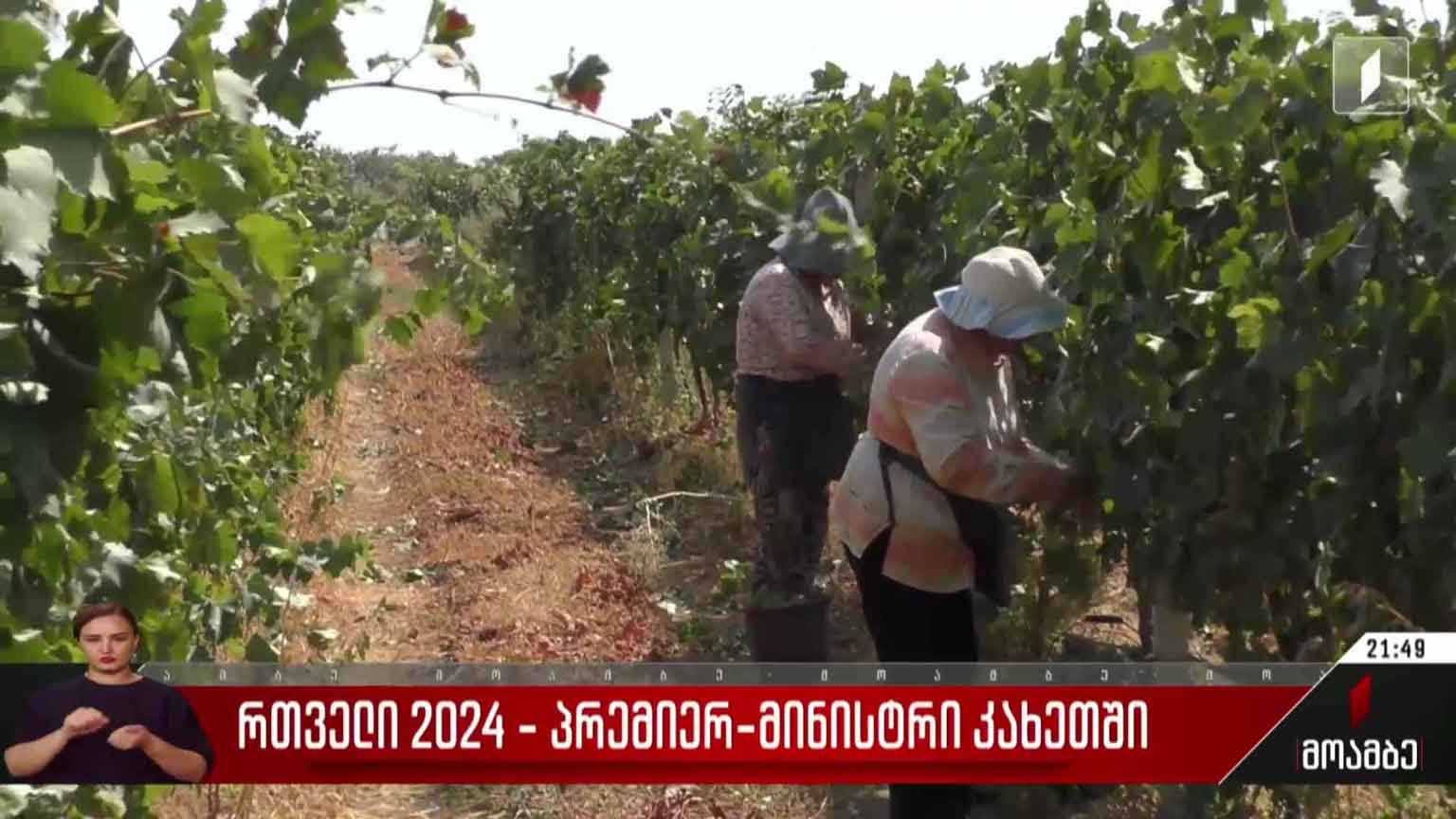 რთველი 2024 - პრემიერ-მინისტრი კახეთში