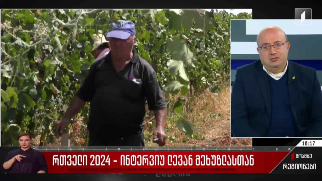 რთველი 2024 – ინტერვიუ ლევან მეხუზლასთან