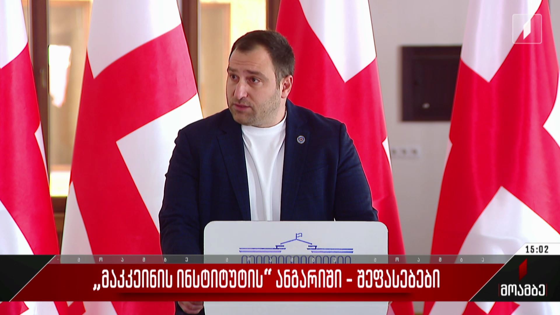 „მაკკეინის ინსტიტუტის“ ანგარიში - შეფასებები პოლიტიკურ სპექტრში