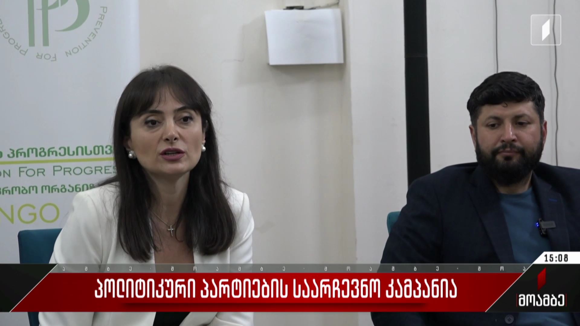 პოლიტიკური პარტიების საარჩევნო კამპანია