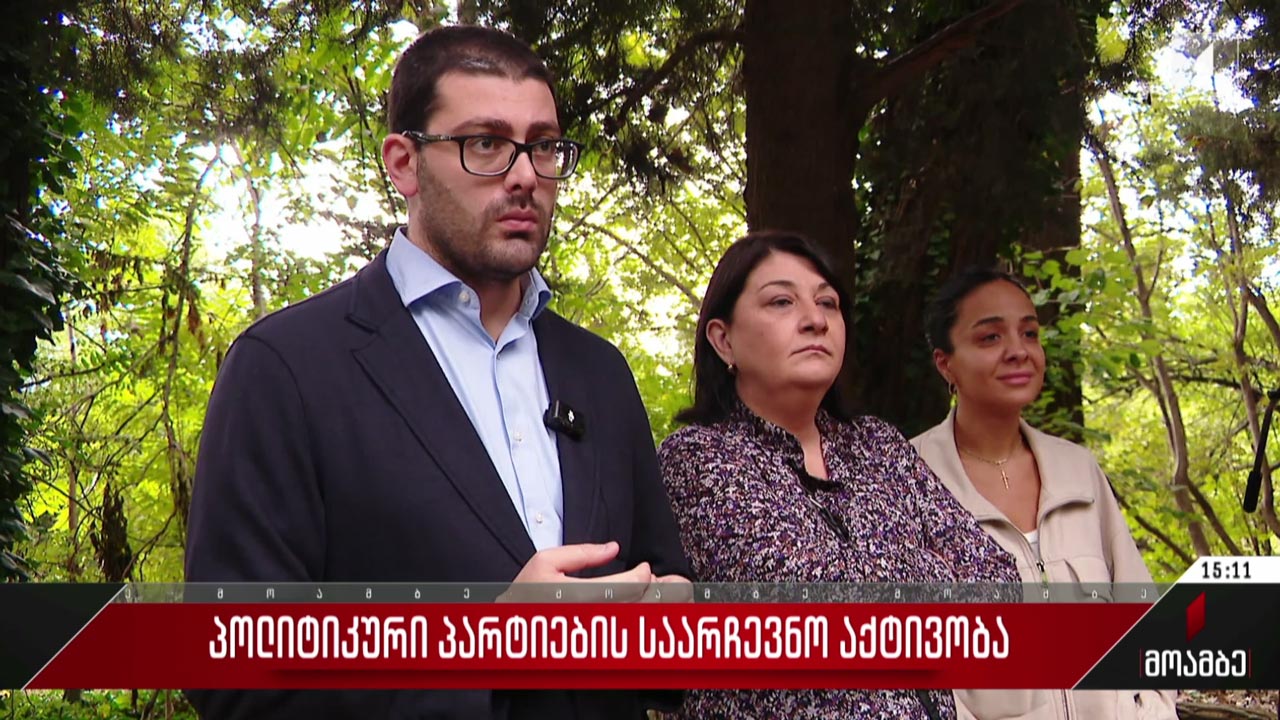 პოლიტიკური პარტიების საარჩევნო აქტივობა