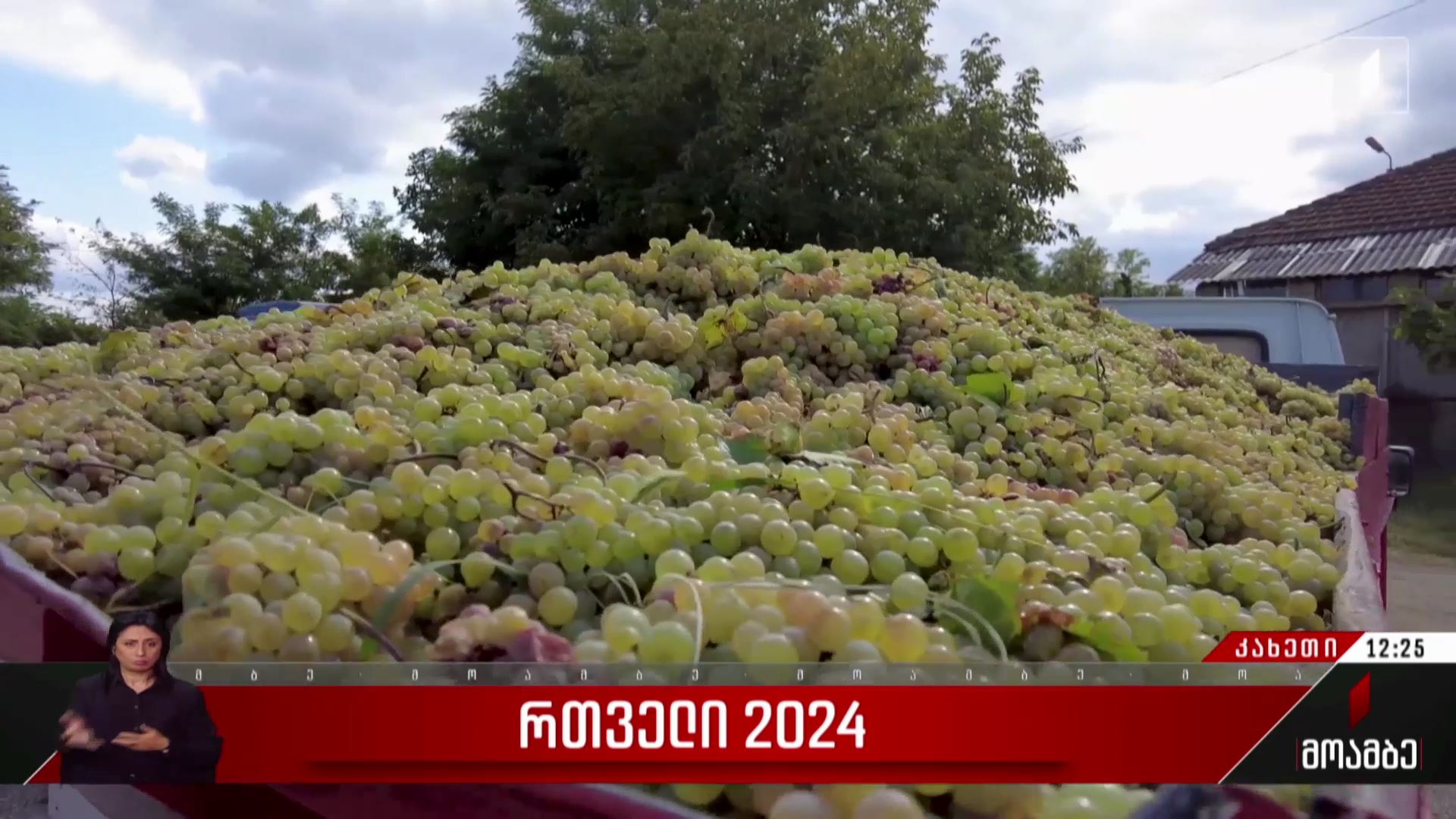 „რთველი 2024“
