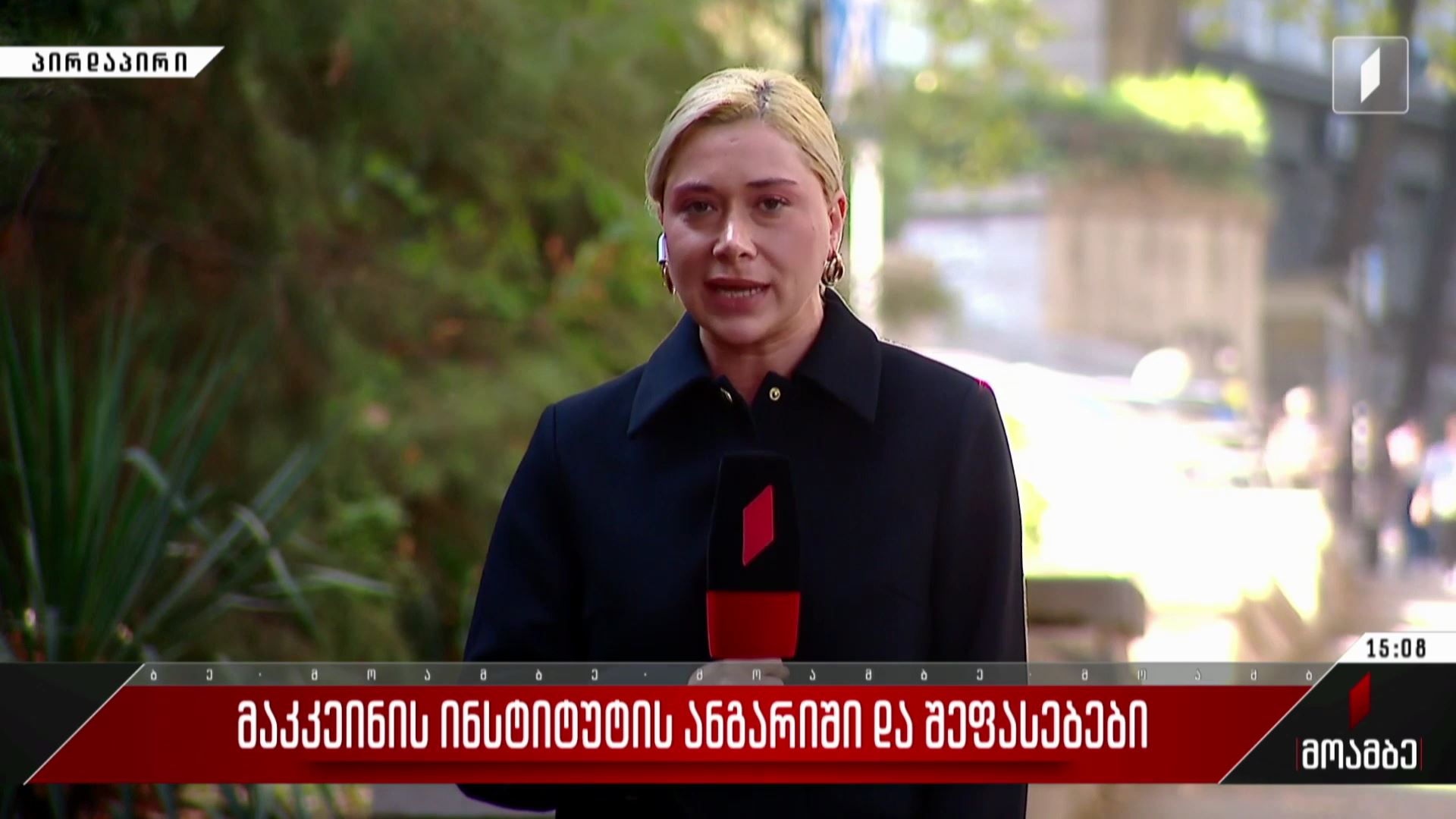 „მაკკეინის ინსტიტუტის“ ანგარიში და შეფასებები