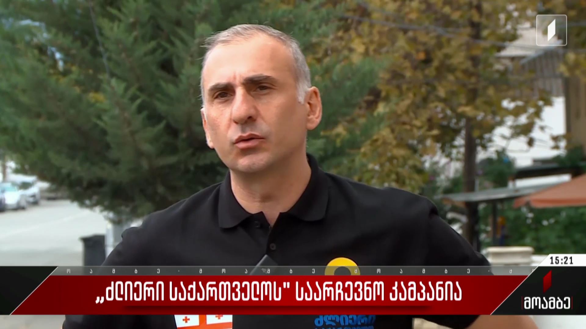 „ძლიერი საქართველოს“ საარჩევნო კამპანია