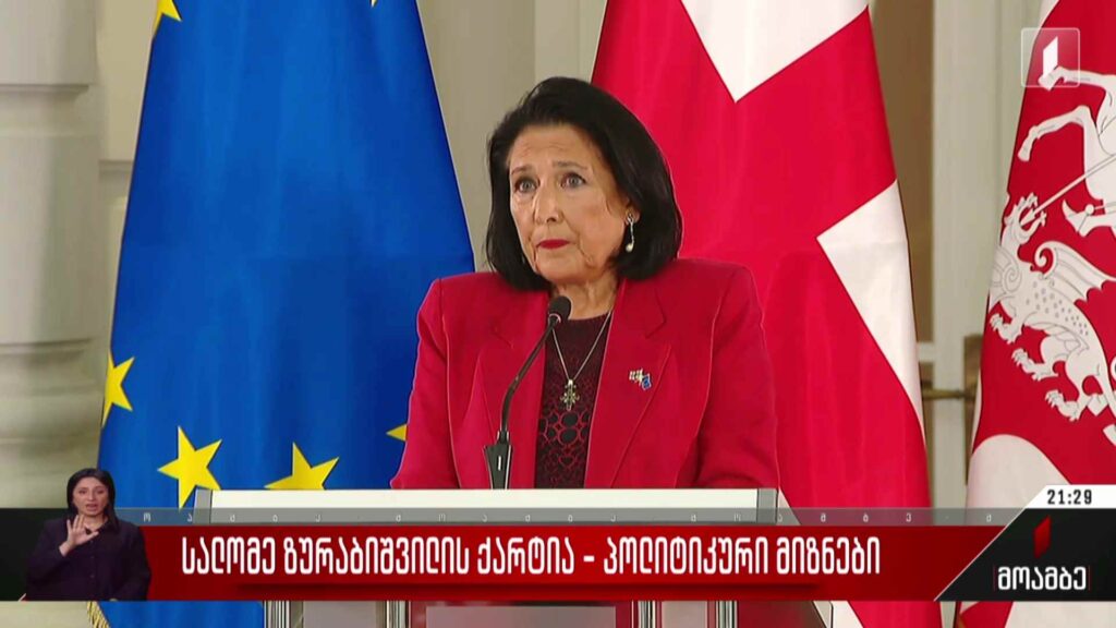 სალომე ზურაბიშვილის ქარტია – პოლიტიკური მიზნები