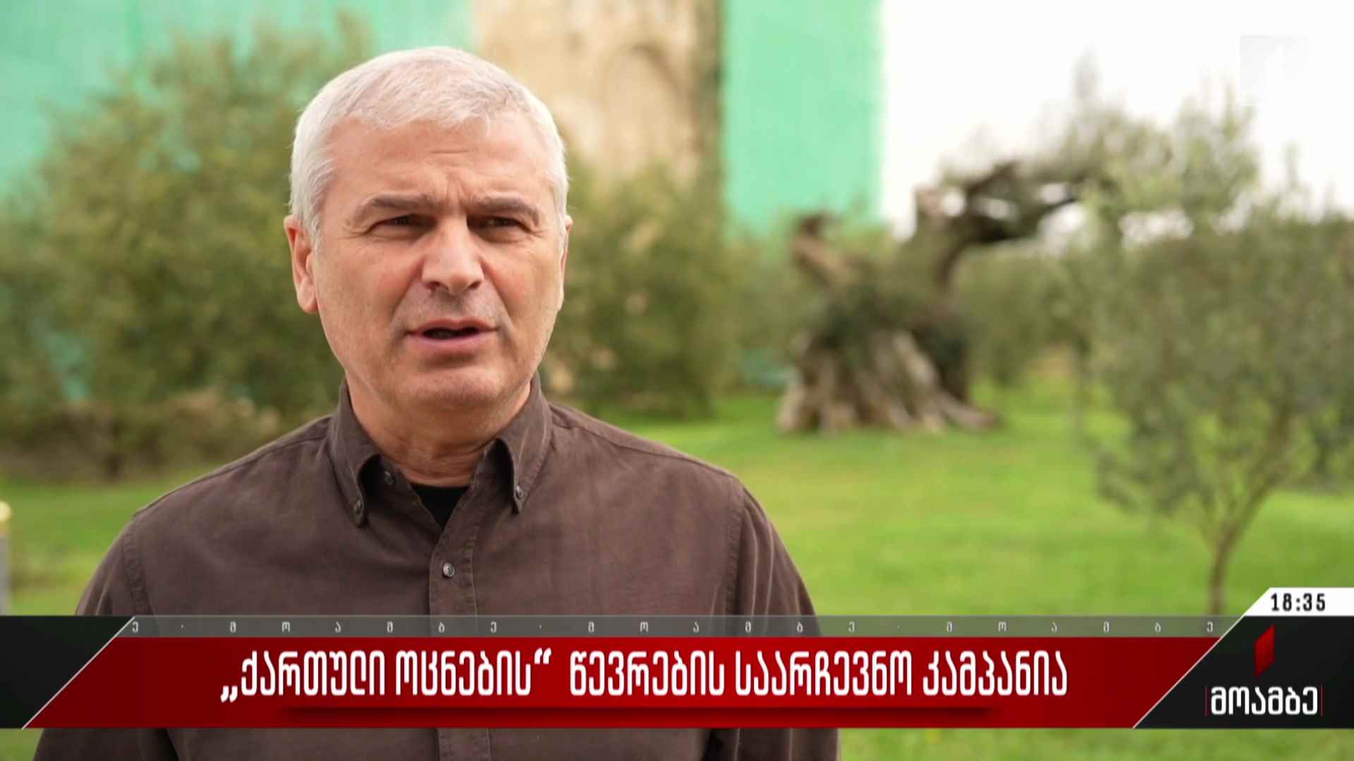 „ქართული ოცნების“ წევრების საარჩევნო კამპანია