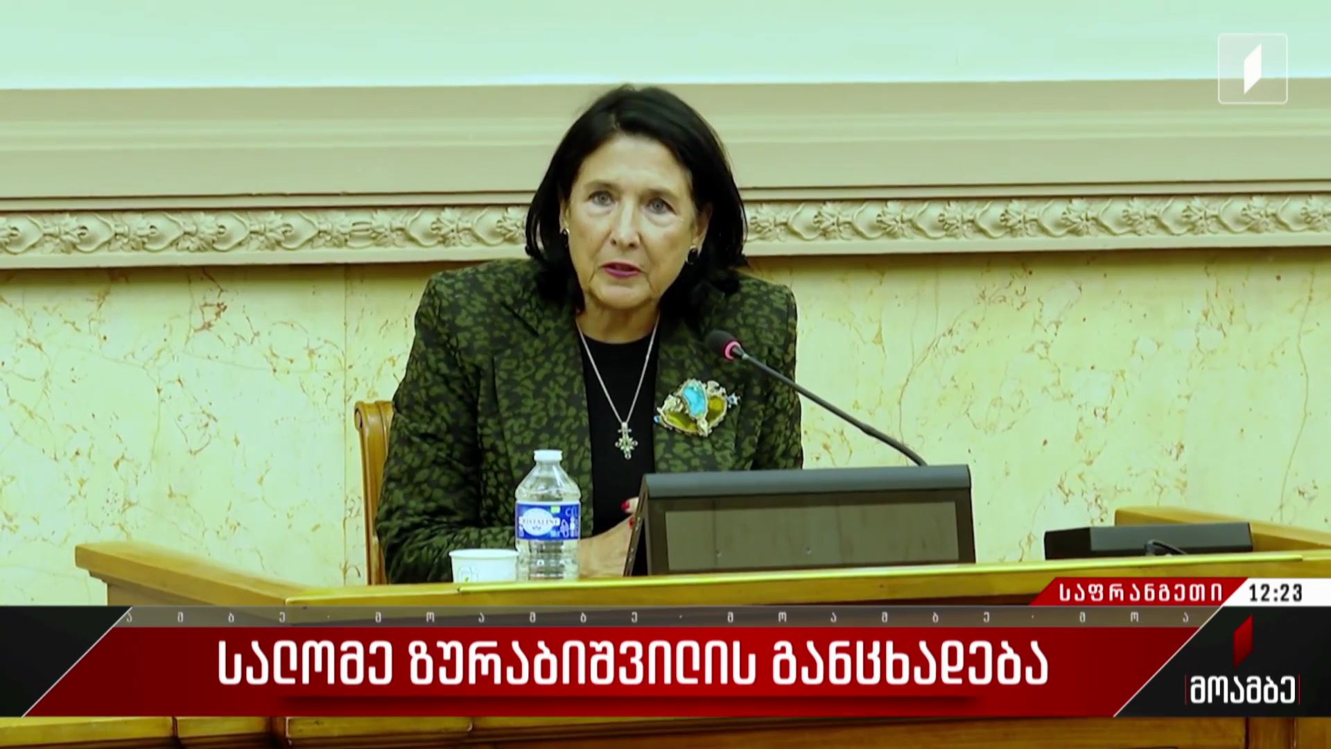 სალომე ზურაბიშვილის განცხადება
