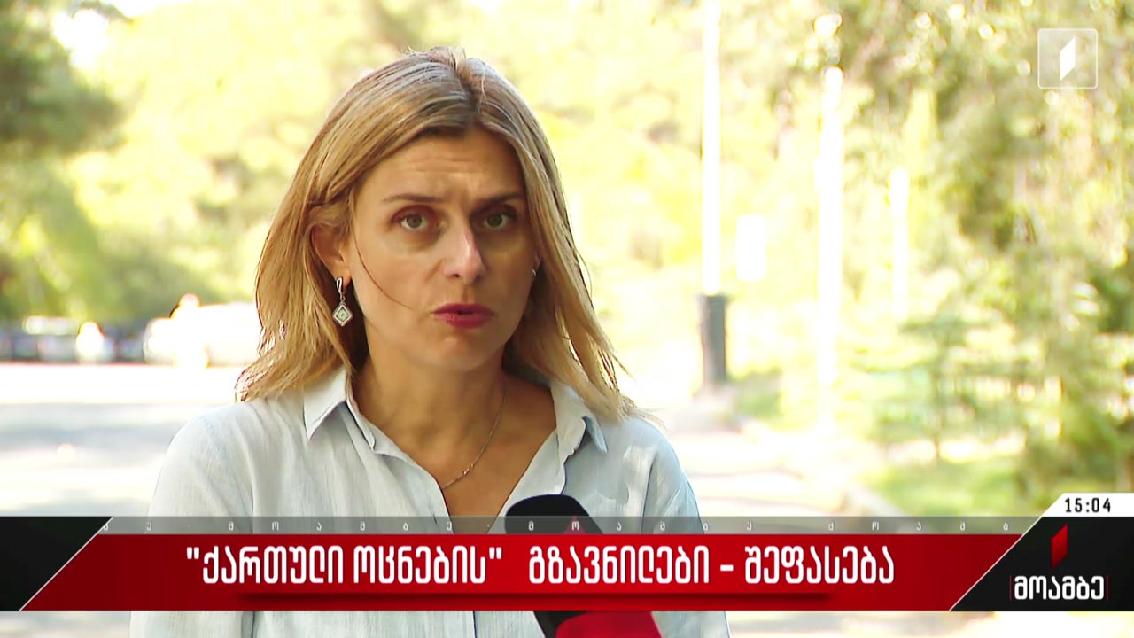 „ქართული ოცნების“ გზავნილები - შეფასება