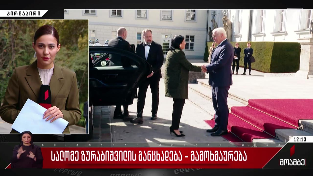 სალომე ზურაბიშვილის განცხადება - გამოხმაურება