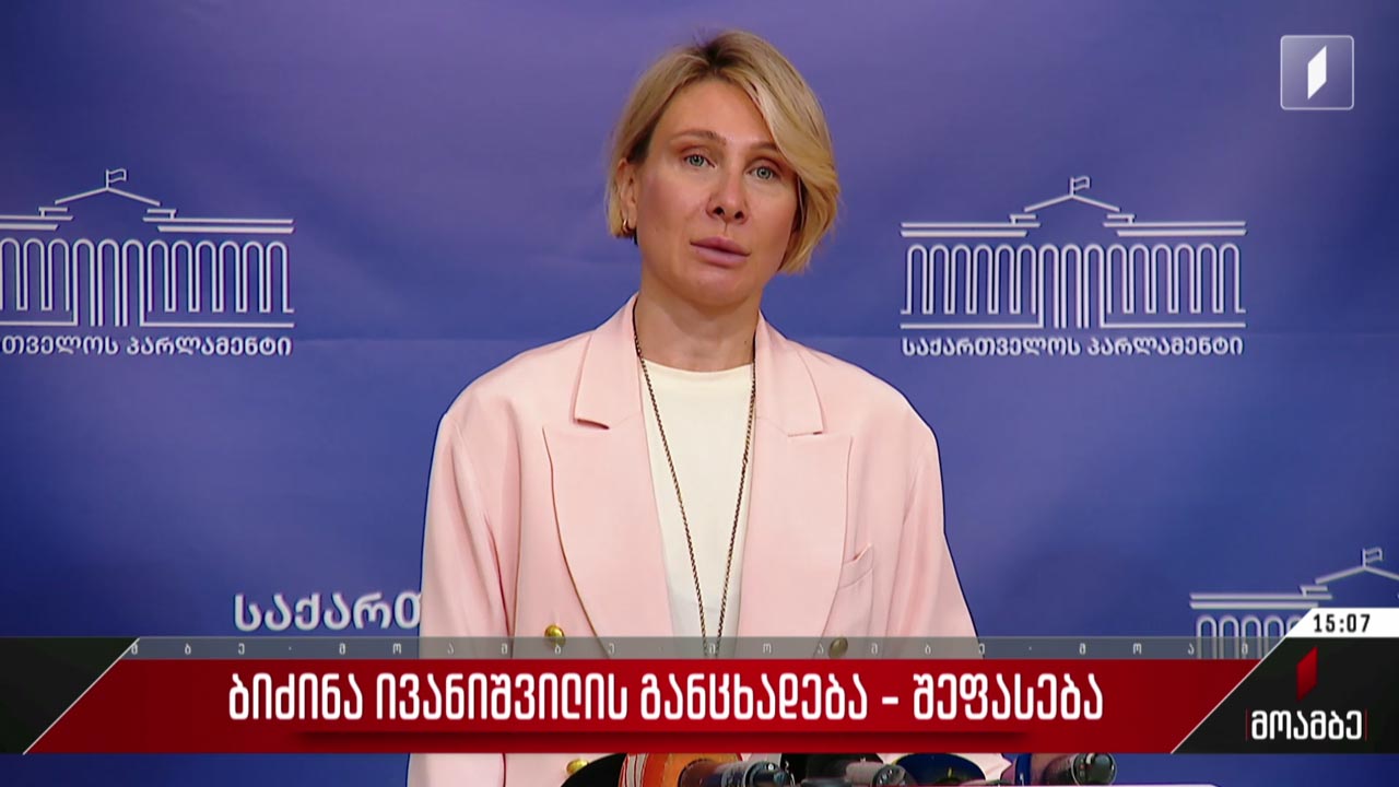 ბიძინა ივანიშვილის განცხადება - შეფასება
