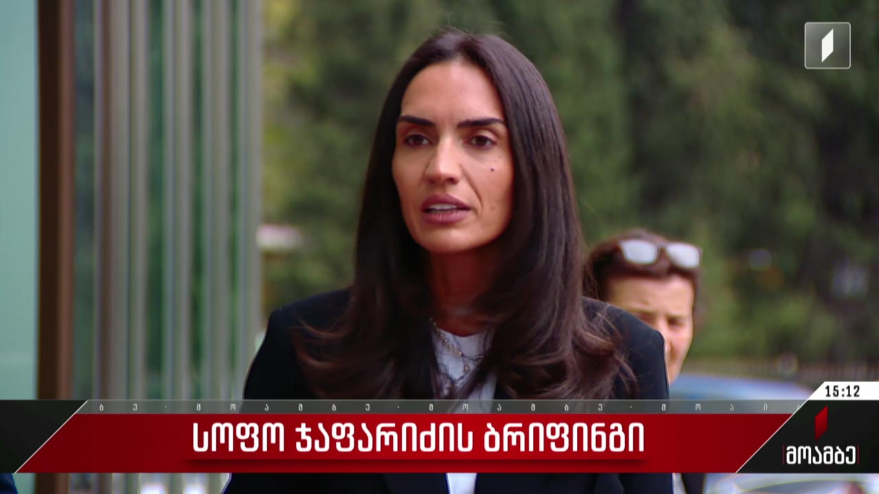 სოფო ჯაფარიძის ბრიფინგი